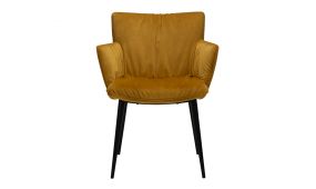 Vegan chair